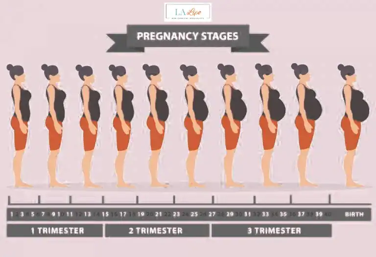 First Trimester (Weeks 1–12): Early Changes You Might Not Notice Greater London (Ealing)